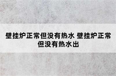 壁挂炉正常但没有热水 壁挂炉正常但没有热水出